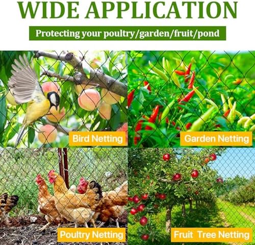 bird netting for chicken coop roof,50' x 50', front angle view