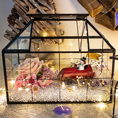 ferrisland glass geometric plant terrarium, clear glass succulent on a desk or shelf