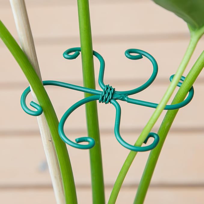 Monstera Plant Stem Support - Set of 5 Sturdy Indoor Support Sticks for Monstera & Climbing Plants - Essential Growth Stabilizers for Leaf Support - Easy-to-Use Gardening Accessories