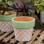 Terracotta Plant Pots Set of 2-5.9 Inch Vintage Pattern Clay Flowerpots with Green Rim & Drainage Holes, Decorative Terra Cotta Pots for Indoor Outdoor Garden Home Decor