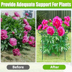 peony cages and supports, 11.5" dx16 h metal, side view