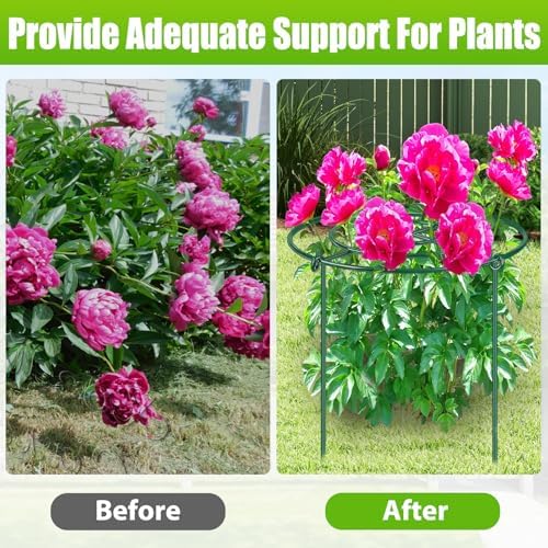 peony cages and supports, 11.5" dx16 h metal, side view