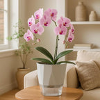 5 Pack Self Watering Pots for Indoor Plants 6.7 Inches Self Watering Planters African Violet Self Watering Pots Clear Pot for Herb Orchid Flower Houseplant, Light Grey