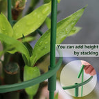 12Packs Plant Support Stake Half Round Plant Support, Stackable 3 Tier Garden Flower Support, Plant Stakes for Indoor Outdoor Plants for Tomato,Monstera, Peony, Hydrangea, Climbing Plants