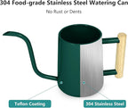 Watering Can Indoor Plants, 35 oz/1000 ml Metal Stainless Steel Watering Can Pot with Long Spout for Indoor House Plants Bonsai Outdoor Garden Flower Decorative (Alpinegreen)