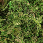 32oz large capacity artificial moss - bulk fake, close-up detail