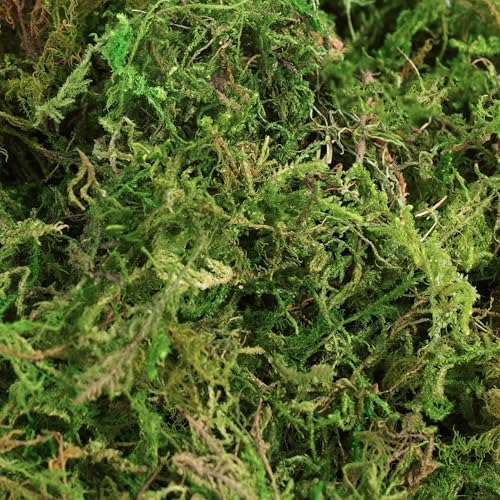 32oz large capacity artificial moss - bulk fake, close-up detail