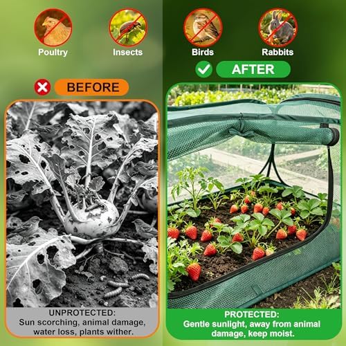 pop-up mesh plant enclosure, plant cover for vegetables, front angle view