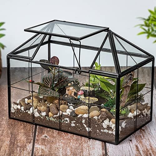 ferrisland glass geometric plant terrarium, clear glass succulent, side view