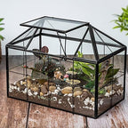ferrisland glass geometric plant terrarium, clear glass succulent, side view