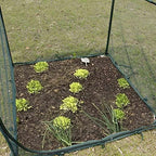 portable 4'x4' large 6ft tall plant netting cover, front angle view