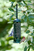 squirrel buster mini truly squirrel-proof bird feeder, close-up detail