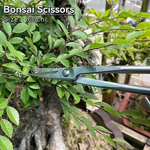 vouiu 6-piece bonsai tool set,concave cutter,knob cutter,jin pliers,wire on a desk or shelf