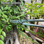 vouiu 6-piece bonsai tool set,concave cutter,knob cutter,jin pliers,wire on a desk or shelf