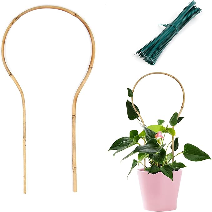 Plant Trellis Indoor 16in, Loop-Shaped Bamboo Trellis - 3 Pack for Climbing Plants, Hoya, Potted Plants