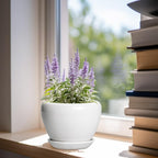 Ceramic Pot for Plants - 6 Inch Plant Pot for Succulent Plants, Glaze Modern Round Planter with Drainage Hole and Saucer, Gifts for Plant Lovers, Home Office Patio Room Decor, White