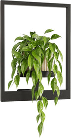 Wall Plant Holder Wall Planters for Indoor Plants Plant Wall Shelf Plant Hanger Indoor Hanging Plant Holder Plant Wall Hanger for Living Room Window Balcony