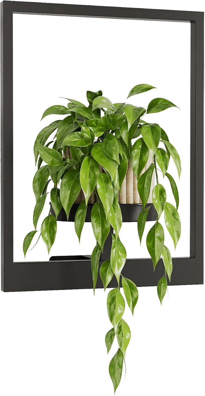 Wall Plant Holder Wall Planters for Indoor Plants Plant Wall Shelf Plant Hanger Indoor Hanging Plant Holder Plant Wall Hanger for Living Room Window Balcony