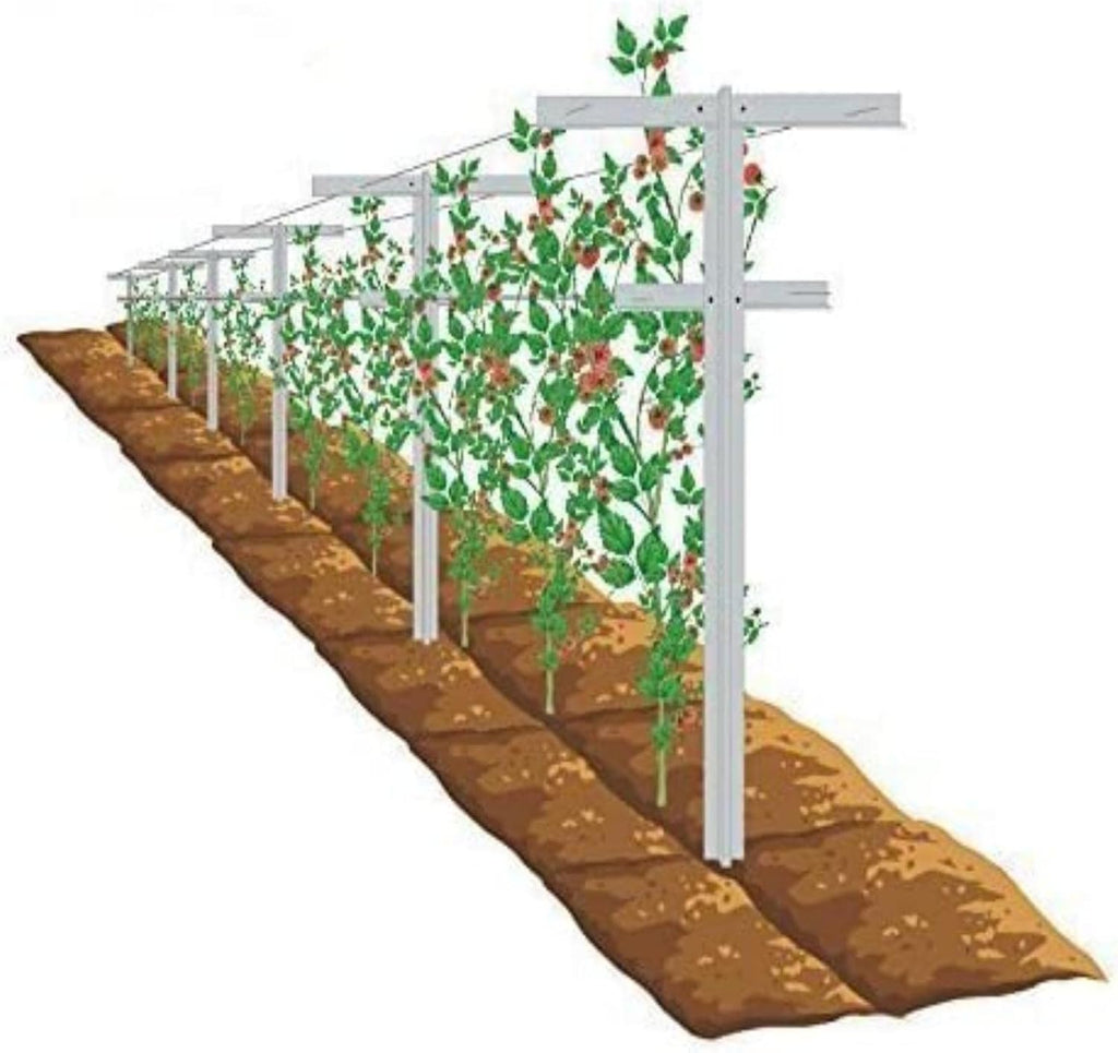 mrgarden 7-feet adjustable garden trellis set for raspberry, main product view