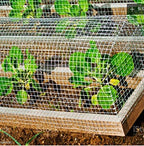 Fencer Wire 19 Gauge Hot-Dipped Galvanized Hardware Cloth with Mesh Size 1/2" x 1/2" for Chicken Coop/Run/Cage/Pen/Vegetables Garden and Home Improvement Project (g. 3 ft. x 10 ft.)