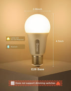 govee smart light bulbs, a19 color changing light on a desk or shelf