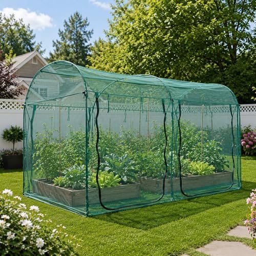 poray large tunnel 10ftx6ft plant netting cover, 6ft showing dimensions