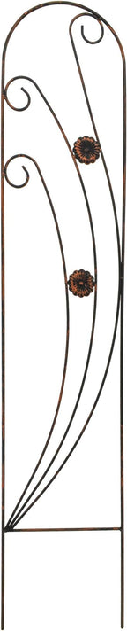 Arcadia Garden Products TR07 Phoenix Trellis Size: 4', Black