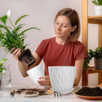 4/4.5/5/5.5/6/6.5/7 Inch Plant Pots,7 Pack Flower Pots with Drainage Holes and Trays,Plastic Planters for Indoor Outdoor Plants Growth,White