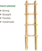 Bamboo Trellis, 16in Ladder-Shaped Trellis for Potted Plants, 3 Pack for Climbing Plants Indoor
