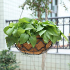hehimhis 2PCS 20inch Coco Liner Hanging Basket Replcement, 100% Natural Round Coconut Coco Fiber Planter Basket Liners for Hanging Basket Bird Nest