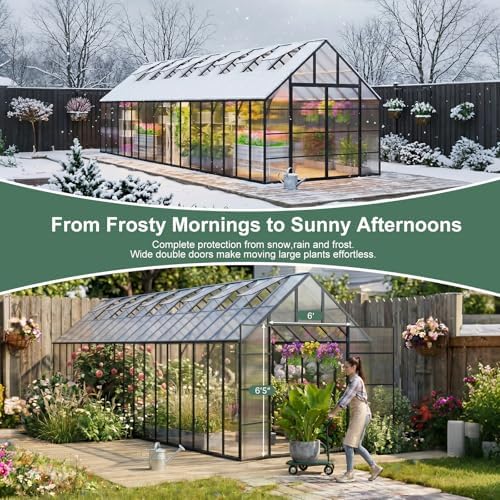 36x10x10 ft extra large greenhouse for outdoors, heavy showing dimensions