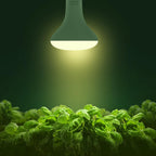 2 Pack LED Grow Light Bulb, BR30 Grow Light Bulbs, Full Spectrum | Grow Light 12W, Plant Light Bulbs, Grow light for Indoor Plants, Seedlings, Greenhouse, Hydroponic