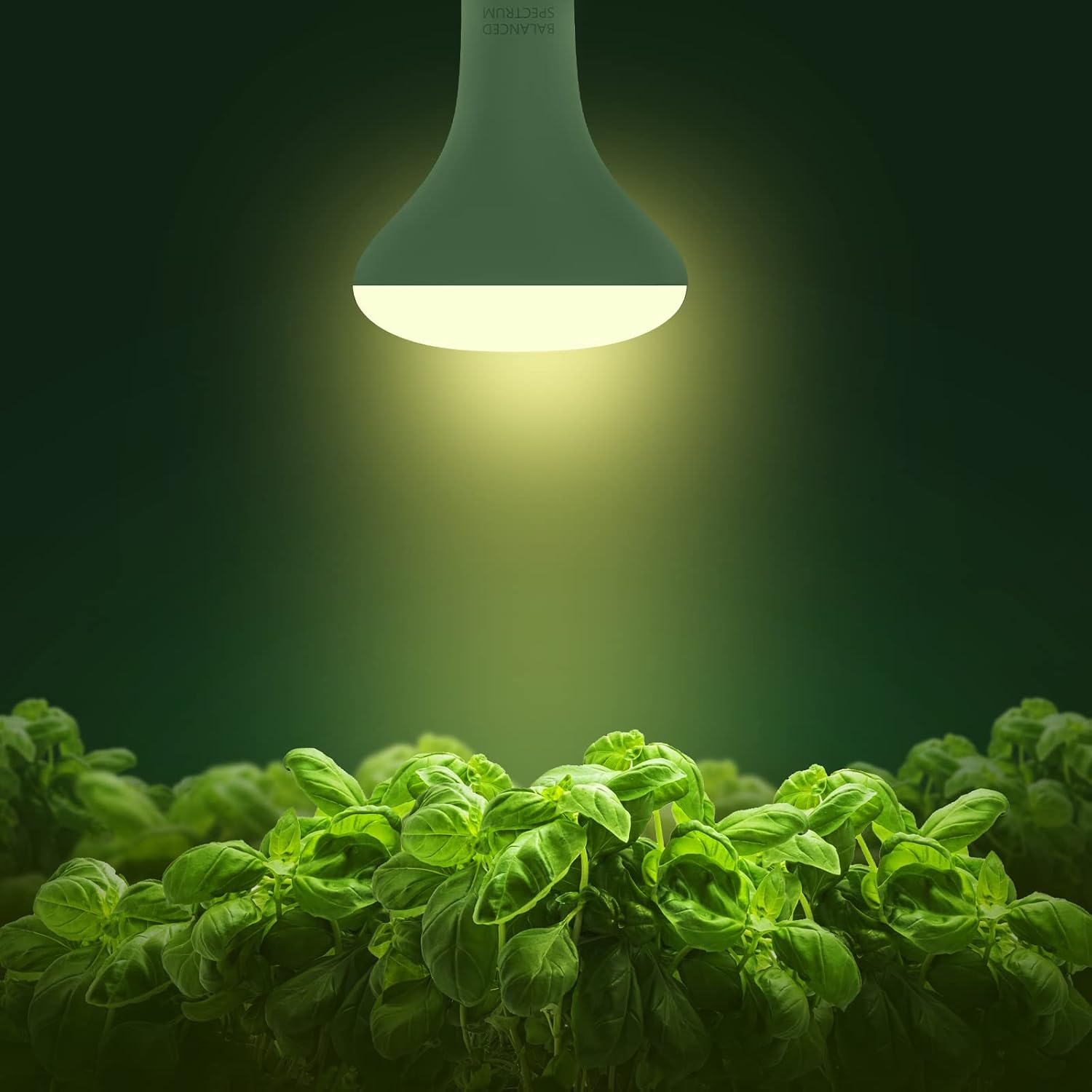 2 Pack LED Grow Light Bulb, BR30 Grow Light Bulbs, Full Spectrum | Grow Light 12W, Plant Light Bulbs, Grow light for Indoor Plants, Seedlings, Greenhouse, Hydroponic