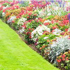shoplala decorative garden fence border (20 panels) 12in(l), view 9