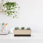 GREANER 6 Pack Window Box Planter,12x3.8 Inch Rectangle Herb Planter with Saucer, Modern Indoor Small Succulent Cactus Plastic Plant Pot for Windowsill, Garden Balcony, Home Office Outdoor Decoration