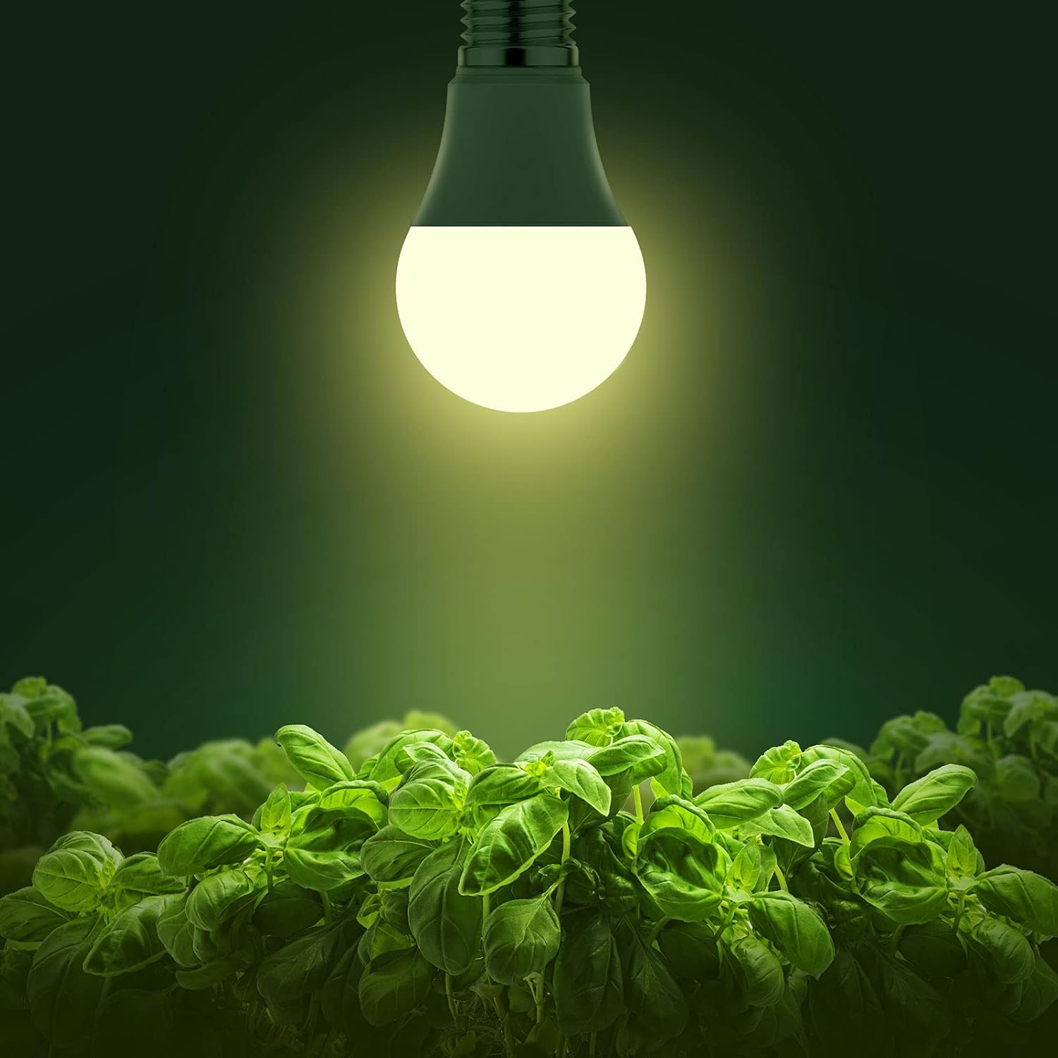 Grow Light Bulbs, LED Grow Light Bulb A19 Bulb, Full Spectrum | Grow Light Bulb, Plant Light Bulbs E26 Base, 11W Grow Bulb 100W Equivalent,Grow Light for Indoor Plants,Seed Starting, 2Pack