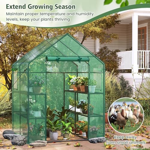 giantex walk-in greenhouse, gardening plant tent with roll-up on a desk or shelf