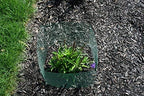 6 new small wire plant protectors, 12" square, package contents