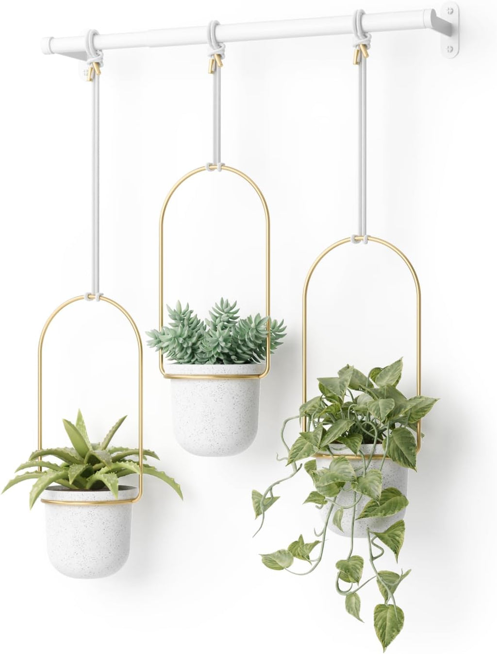 umbra triflora hanging planter, indoor herb garden, set, main product view