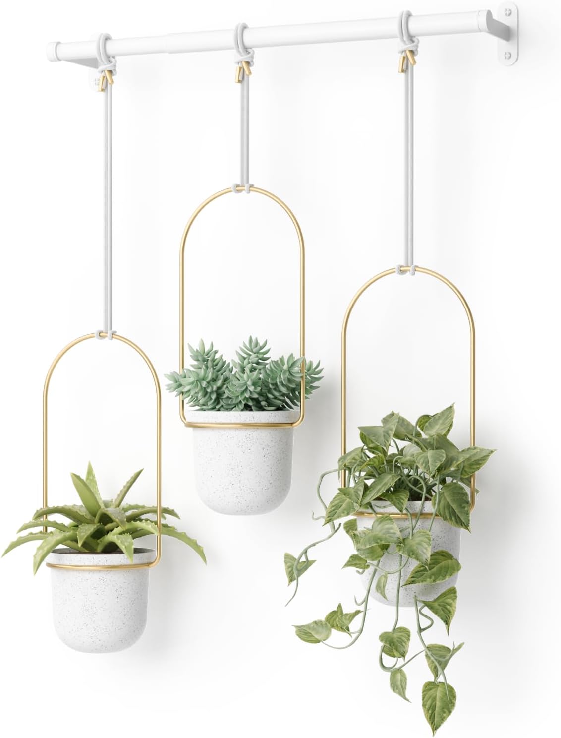 umbra triflora hanging planter, indoor herb garden, set, main product view