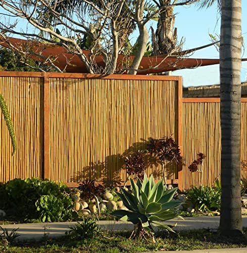 forever bamboo natural bamboo fencing decorative rolled fence, front angle view