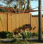 forever bamboo natural bamboo fencing decorative rolled fence, front angle view