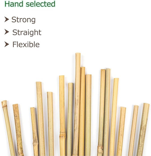 40pcs Natural Bamboo Sticks for Indoor and Outdoor Plants, 16 Inch Plant Support Stakes for Tomato, Beans, Potted Plants and Vegetable