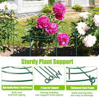 peony cages and supports, 11.5" dx16 h metal, close-up detail
