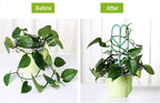 Garden Trellis for Climbing Plants 6 PCS Plastic Indoor Trellis for Potted Plants Green Stackable Mini Climbing Plant Stupport DIY Flower Pot Support for Pea Vegetable Clematis (6 Packs)