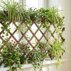 expandable trellis, 38"x89" wooden lattice for climbing plants on a desk or shelf
