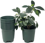 30-Pack Wholesale Nursery Pot in Bulk 5.5 Inch 0.5 Gallon Plastic Planters for Outdoor Indoor Plants Gardening Flower Pots with Drainage Holes Color Green