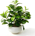 artificial peperomia plants 16” tall lifelike faux greenery, main product view