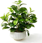 artificial peperomia plants 16” tall lifelike faux greenery, main product view
