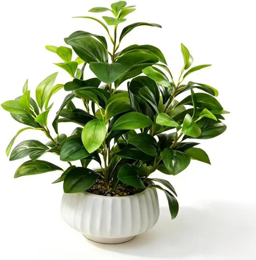 artificial peperomia plants 16” tall lifelike faux greenery, main product view